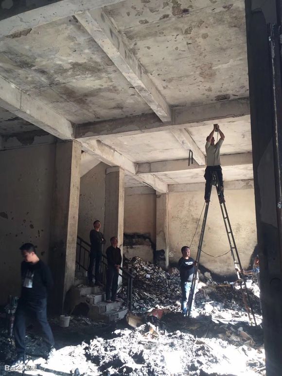 1539159926613178.jpg 1ad5ad6eddc451da69bcddc5bafd5266d0163252.jpg