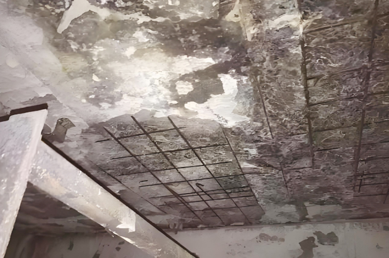 建筑結構及構件房屋檢測鑒定.檢驗材料的性能